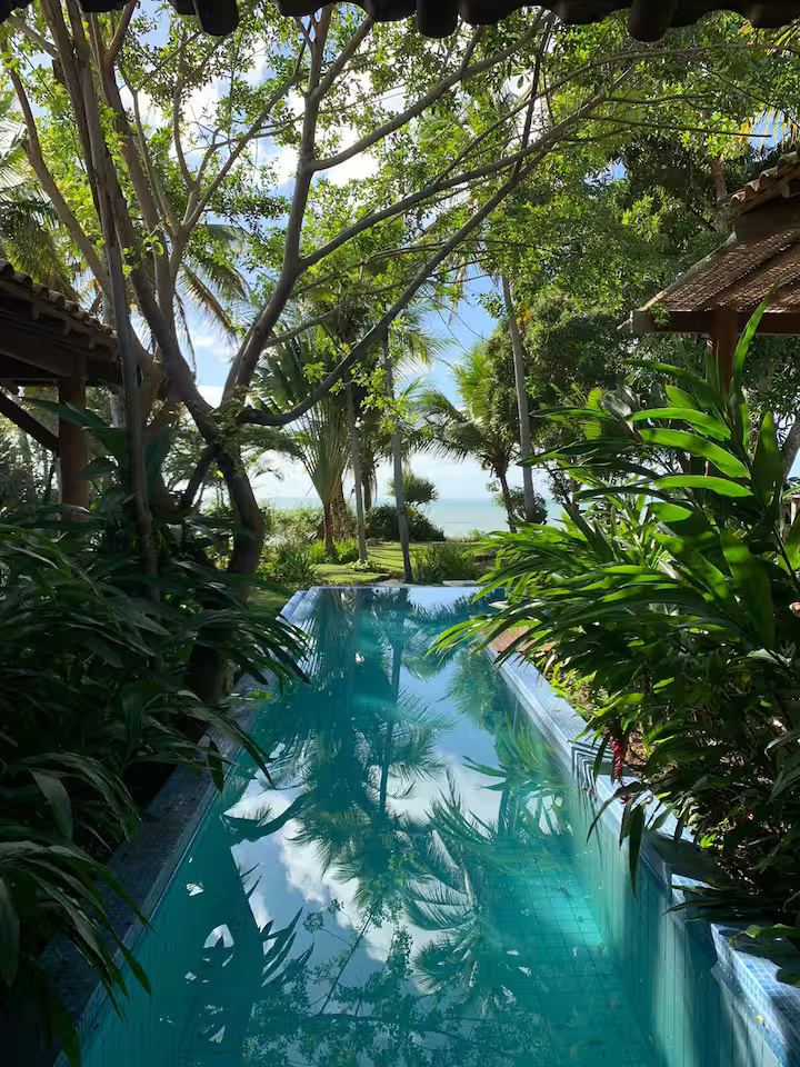 Piscina privativa entre os jardins